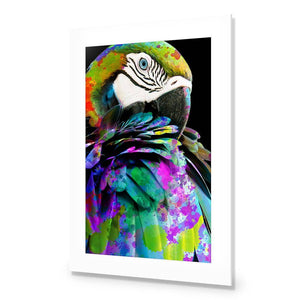 Coy Macaw | Standard Acrylic | No Frame With Border