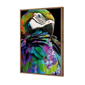 Coy Macaw | Standard Canvas | Floating Frame | Natural