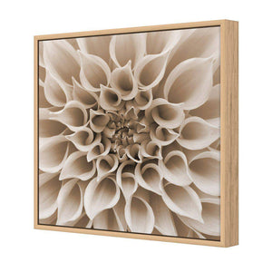 Dahlia Delight, Sepia | Standard Canvas | Floating Frame | Oak