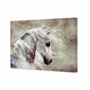 Dapple Grey | Standard Canvas | No Frame | Stretched Canvas