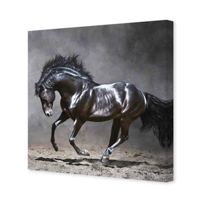 Dark Horse, Moonlight | Standard Canvas | No Frame | Stretched Canvas