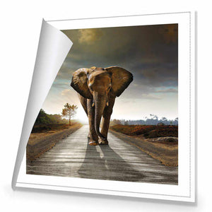 Determined Elephant | Standard Canvas | No Frame | Rolled Canvas