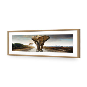 Determined Elephant, Long | Classic Acrylic | Flat Frame With Border | Oak