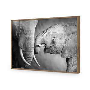 Elephant And Mum, B&W | Standard Acrylic | Flat Frame No Border | Natural