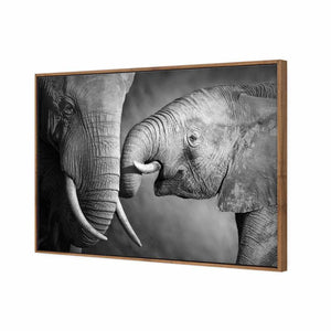 Elephant And Mum, B&W | Standard Canvas | Floating Frame | Natural