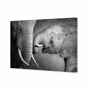 Elephant And Mum, B&W | Standard Canvas | No Frame | Stretched Canvas