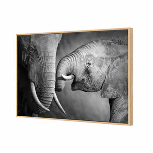 Elephant And Mum, B&W | Standard Canvas | Floating Frame | Oak