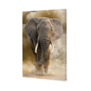 Elephant In Dust | Standard Canvas | No Frame | Stretched Canvas