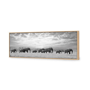 Elephant Trail, B&W | Classic Canvas | Floating Frame | Oak