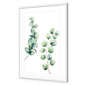 Eucalyptus Duo | Standard Acrylic | Flat Frame With Border | White
