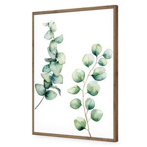 Eucalyptus Duo | Standard Acrylic | Flat Frame No Border | Natural