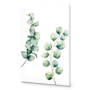 Eucalyptus Duo | Standard Acrylic | No Frame No Border