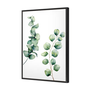 Eucalyptus Duo | Standard Canvas | Floating Frame | Black