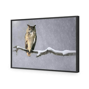 Eurasian Eagle Owl | Classic Acrylic | Flat Frame No Border | Black