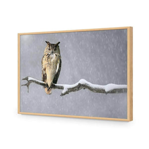 Eurasian Eagle Owl | Classic Acrylic | Flat Frame No Border | Oak