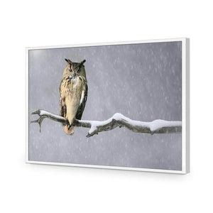 Eurasian Eagle Owl | Classic Acrylic | Flat Frame No Border | White