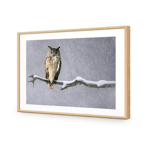 Eurasian Eagle Owl | Classic Acrylic | Flat Frame With Border | Oak