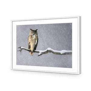 Eurasian Eagle Owl | Classic Acrylic | Flat Frame With Border | White