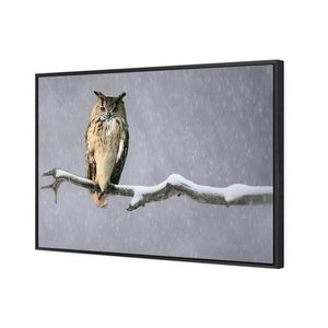 Eurasian Eagle Owl | Classic Canvas | Floating Frame | Black