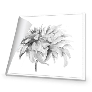 Fairy Floss, B&W | Standard Canvas | No Frame | Rolled Canvas