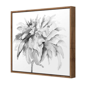 Fairy Floss, B&W, Square | Standard Canvas | Floating Frame | Natural