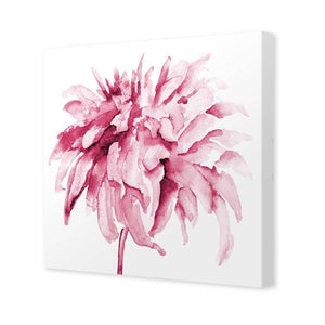 Fairy Floss, Pink Square | Standard Canvas | No Frame | Stretched Canvas