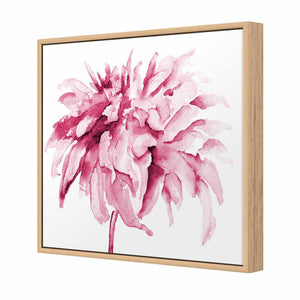 Fairy Floss, Pink Square | Standard Canvas | Floating Frame | Oak