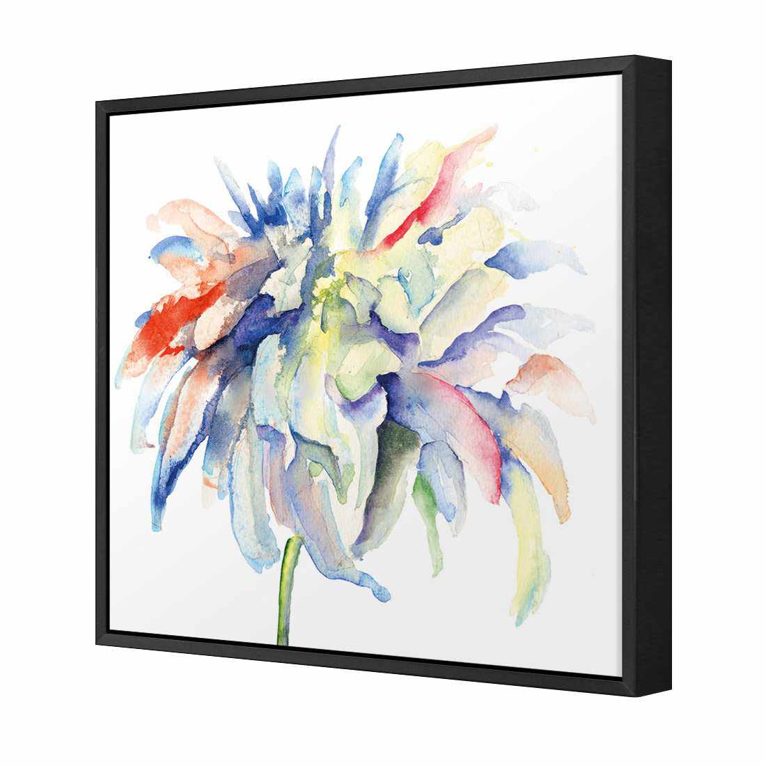 Fairy Floss, Square | Standard Canvas | Floating Frame | Black