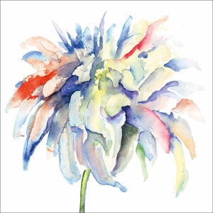 Fairy Floss, Square