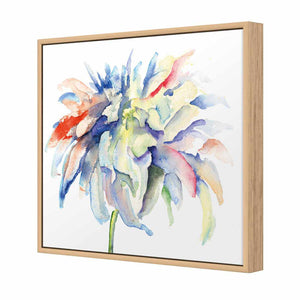 Fairy Floss, Square | Standard Canvas | Floating Frame | Oak