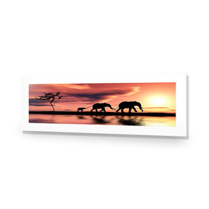 Family of Elephants at Sunset, Long | Standard Acrylic | No Frame With Border