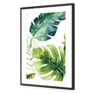 Fascinating Foliage Version 02 | Standard Acrylic | Flat Frame With Border | Black