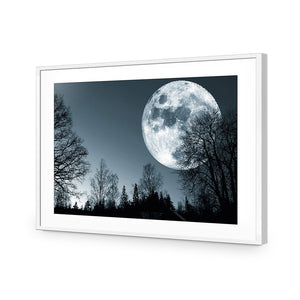 Forest Moon | Standard Acrylic | Flat Frame With Border | White