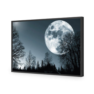 Forest Moon | Standard Acrylic | Flat Frame No Border | Black