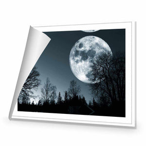 Forest Moon | Standard Canvas | No Frame | Rolled Canvas