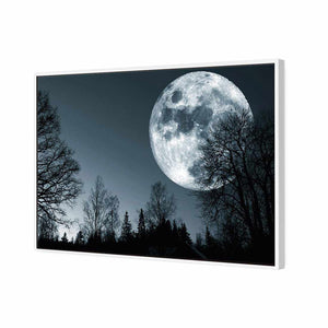 Forest Moon | Standard Canvas | Floating Frame | White