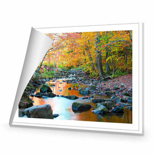 Forest Stream | Standard Canvas | No Frame | Rolled Canvas