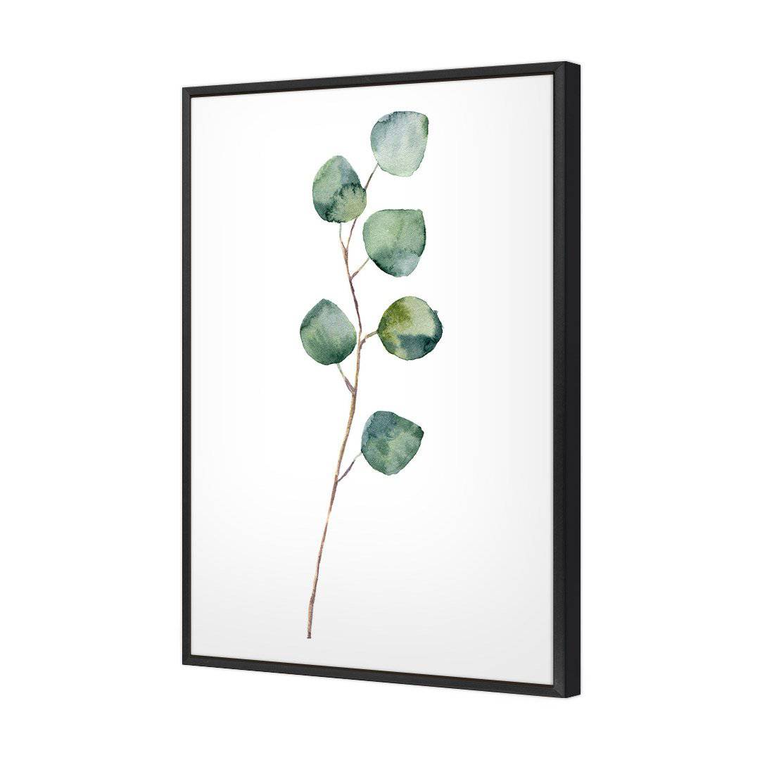 Fragrant Herb 3 | Standard Canvas | Floating Frame | Black