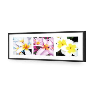 Frangipani Montage | Classic Acrylic | Flat Frame No Border | Black