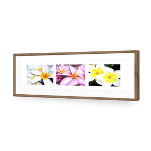 Frangipani Montage | Classic Acrylic | Flat Frame With Border | Natural