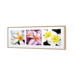 Frangipani Montage | Classic Canvas | Floating Frame | Oak