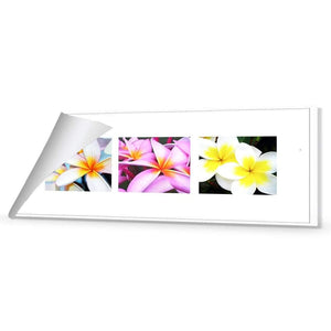 Frangipani Montage | Classic Canvas | No Frame | Rolled Canvas