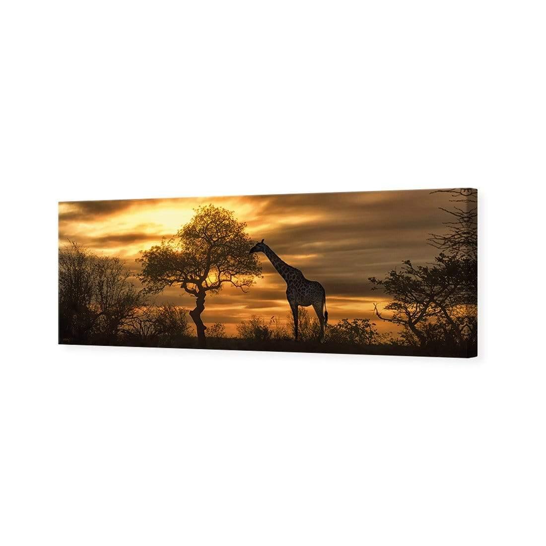 Giraffe at Sunset (long) | Classic Canvas | No Frame | Stretched Canvas