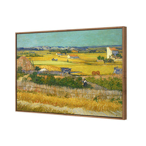 Harvest by Van Gogh | Standard Canvas | Floating Frame | Natural