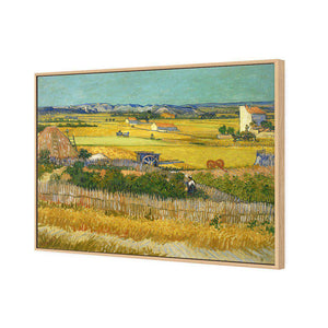 Harvest by Van Gogh | Standard Canvas | Floating Frame | Oak