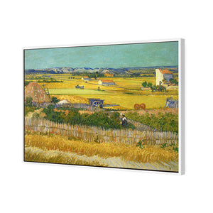 Harvest by Van Gogh | Standard Canvas | Floating Frame | White