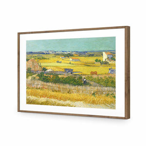 Harvest by Van Gogh | Standard Acrylic | Flat Frame With Border | Natural