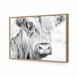 Henrietta the Highland Cow | Classic Acrylic | Flat Frame No Border | Oak