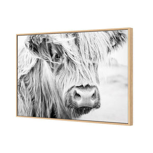 Henrietta the Highland Cow | Classic Canvas | Floating Frame | Oak