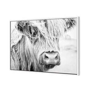 Henrietta the Highland Cow | Classic Canvas | Floating Frame | White